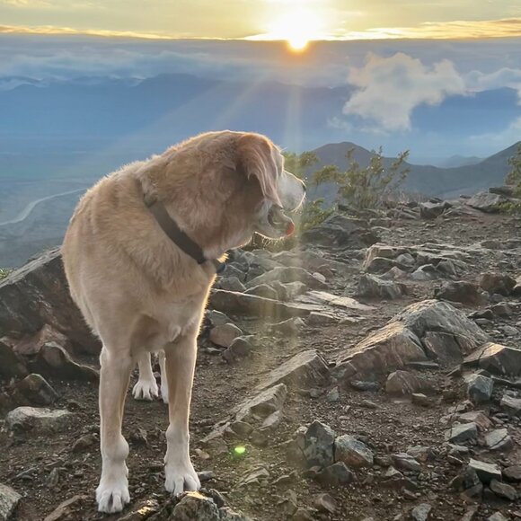 Meet your Posher, Matt - Picture 1 of 1